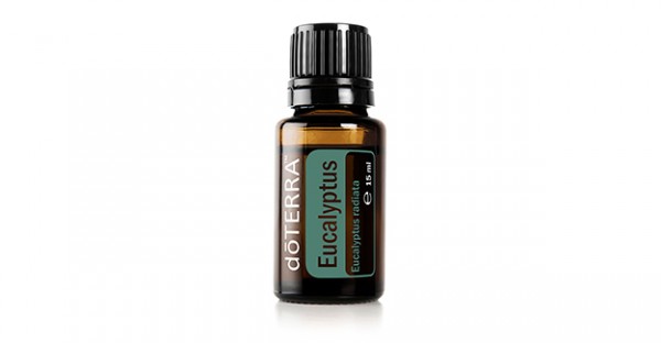 Eukalyptus