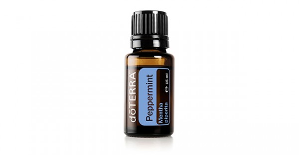 Pfefferminze