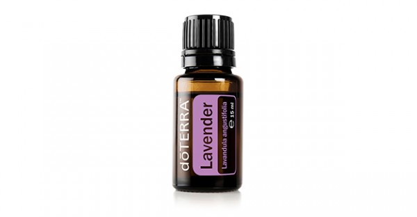 Lavendel